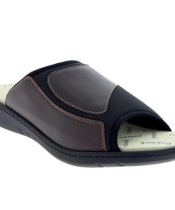 Hectorclaus.shop691c6d195f 2