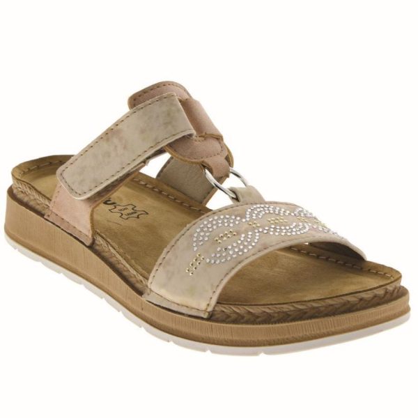 Hectorclaus.shop6c96738c7e 1