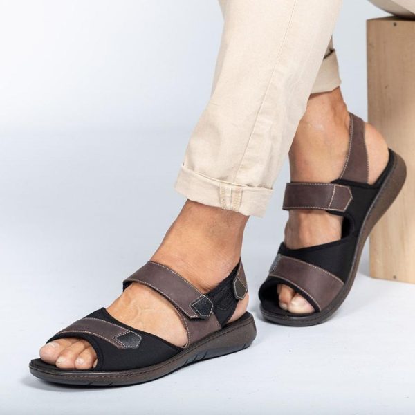 Hectorclaus.shop6e9d82cc70 1