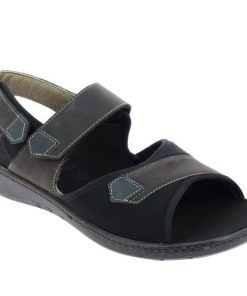 Hectorclaus.shop6e9d82cc70 2