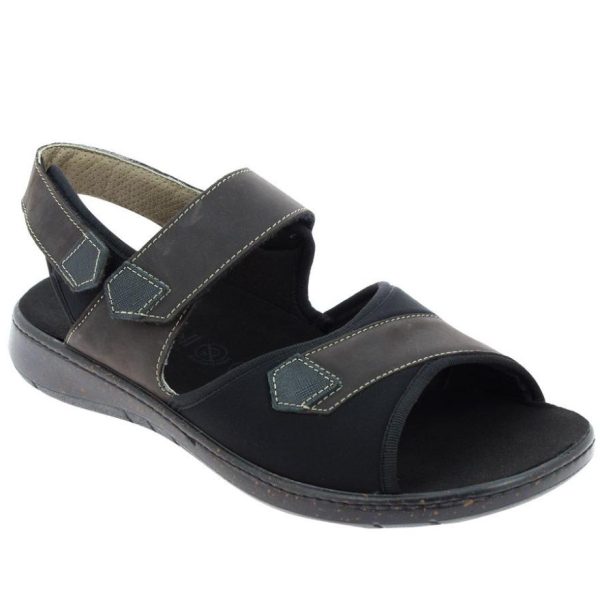 Hectorclaus.shop6e9d82cc70 2