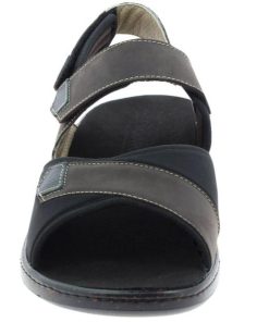 Hectorclaus.shop6e9d82cc70 4