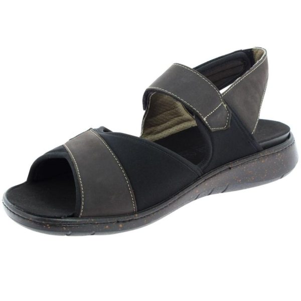 Hectorclaus.shop6e9d82cc70 5