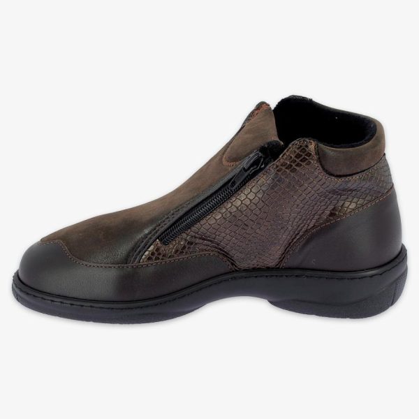 Hectorclaus.shop704fdc6a28 4