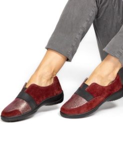 Hectorclaus.shop726da6d9e5 1