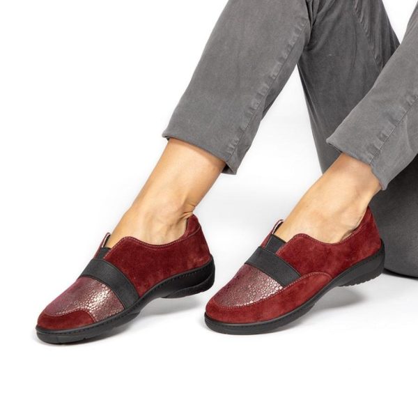 Hectorclaus.shop726da6d9e5 1