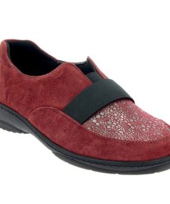 Hectorclaus.shop726da6d9e5 2