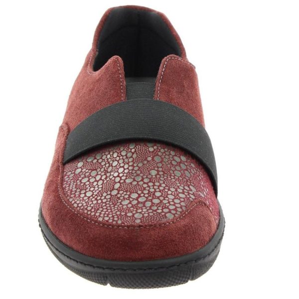 Hectorclaus.shop726da6d9e5 3