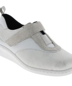 Hectorclaus.shop760dd8d4f2 1