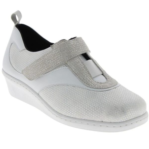 Hectorclaus.shop760dd8d4f2 1