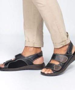 Hectorclaus.shop800c080934 1