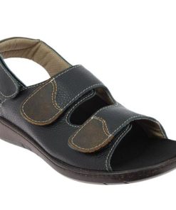 Hectorclaus.shop800c080934 2