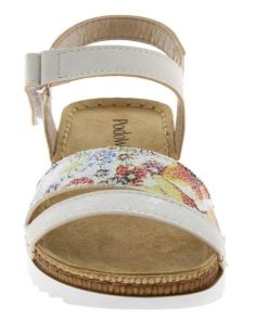 Hectorclaus.shop897fb0eb72 2