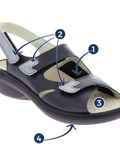 Hectorclaus.shop8c933a8e9e 2