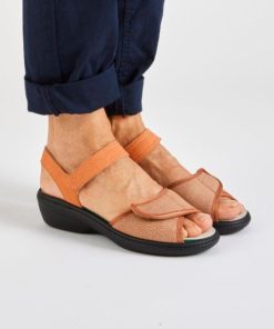 Hectorclaus.shop9394cd05cc 1