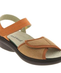 Hectorclaus.shop9394cd05cc 2