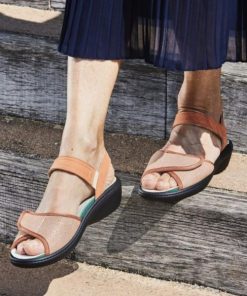 Hectorclaus.shop9394cd05cc 3