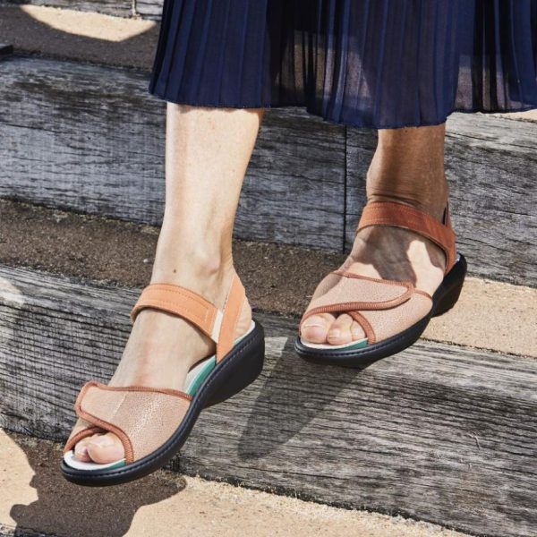 Hectorclaus.shop9394cd05cc 3