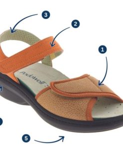 Hectorclaus.shop9394cd05cc 4