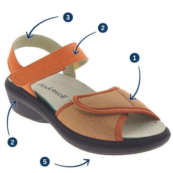 Hectorclaus.shop9394cd05cc 4