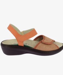 Hectorclaus.shop9394cd05cc 5