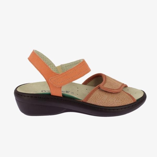 Hectorclaus.shop9394cd05cc 5