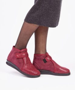 Hectorclaus.shop95017295bd 1