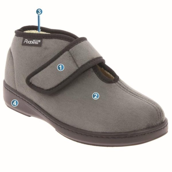 Hectorclaus.shop955666bf9d 2