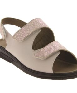 Hectorclaus.shop973ab46127 2