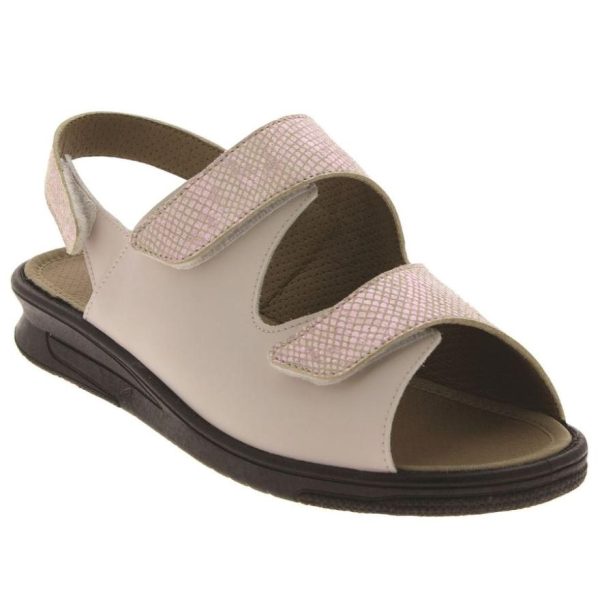 Hectorclaus.shop973ab46127 2