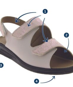 Hectorclaus.shop973ab46127 3