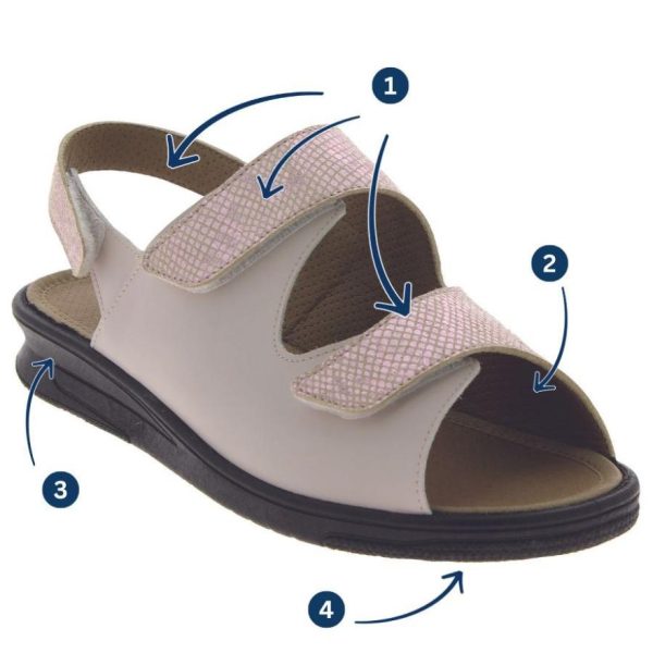 Hectorclaus.shop973ab46127 3