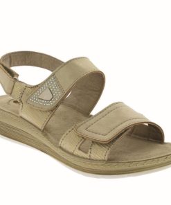 Hectorclaus.shop99b6eb6425 1