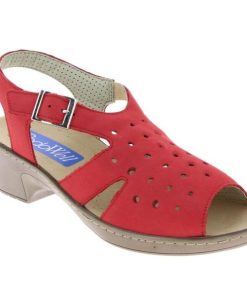 Hectorclaus.shop9d694e6dde 1