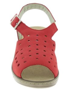 Hectorclaus.shop9d694e6dde 2