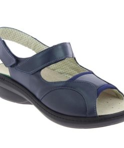 Hectorclaus.shopa49f714b04 1