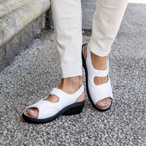 Hectorclaus.shopb07bf6879f 1