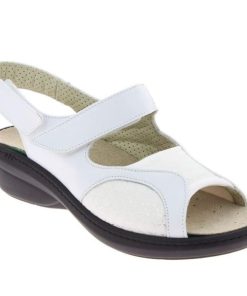 Hectorclaus.shopb07bf6879f 2