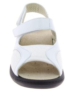 Hectorclaus.shopb07bf6879f 3