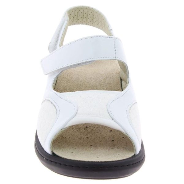 Hectorclaus.shopb07bf6879f 3