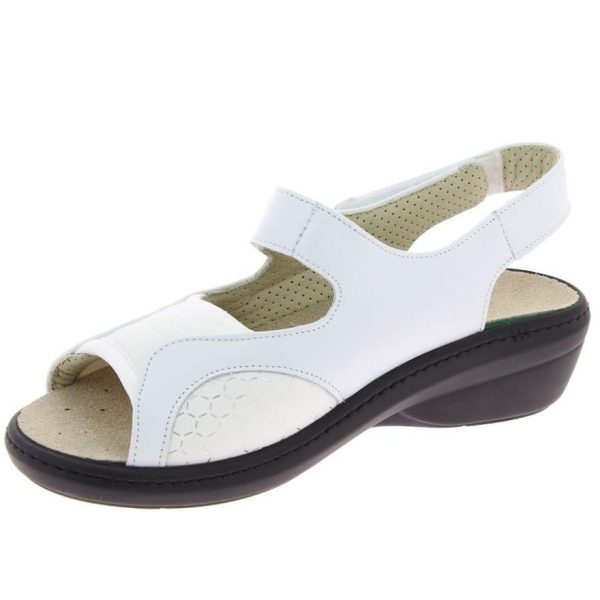 Hectorclaus.shopb07bf6879f 4