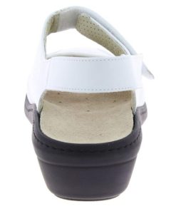 Hectorclaus.shopb07bf6879f 5