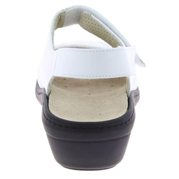 Hectorclaus.shopb07bf6879f 5