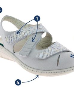 Hectorclaus.shopb0a196d664 2