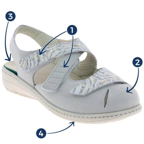 Hectorclaus.shopb0a196d664 2