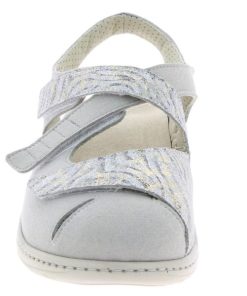 Hectorclaus.shopb0a196d664 4