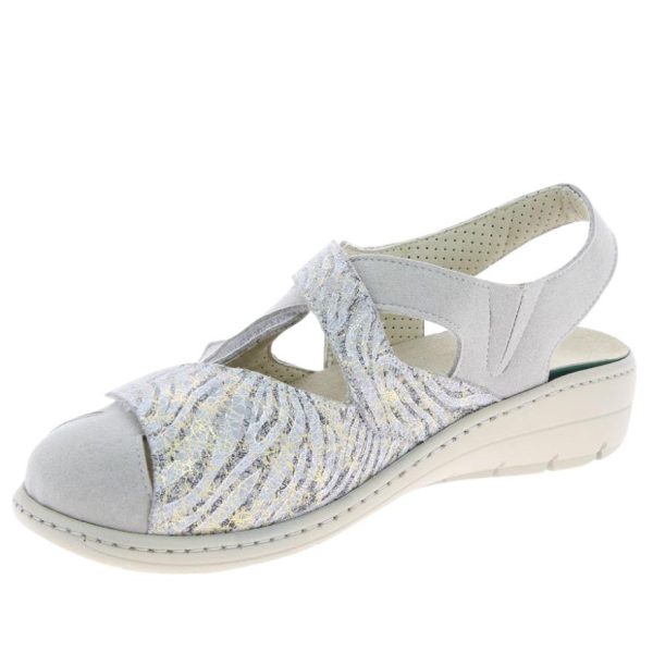 Hectorclaus.shopb0a196d664 5