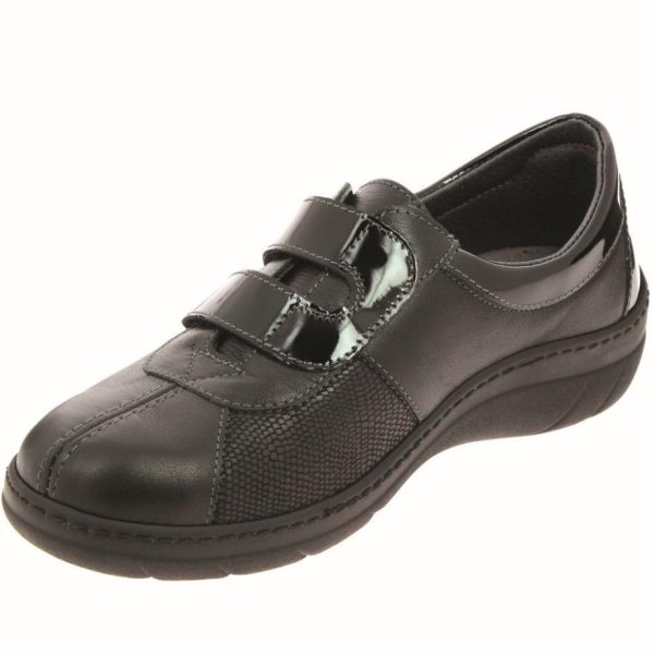 Hectorclaus.shopb3be293796 5