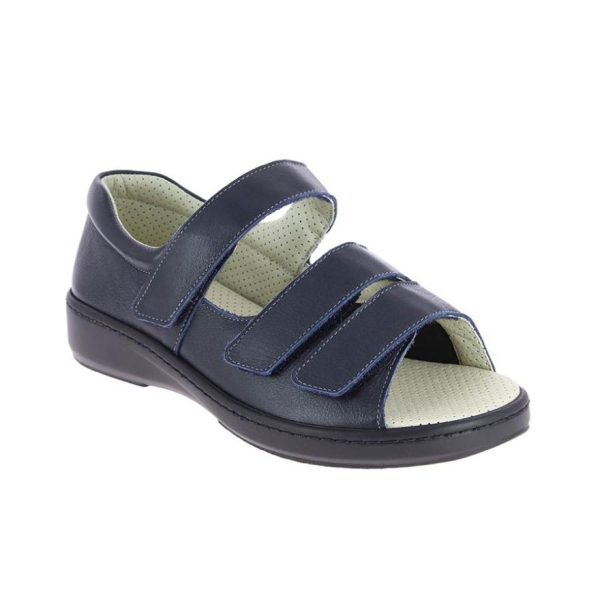 Hectorclaus.shopb6075d6a6a 1