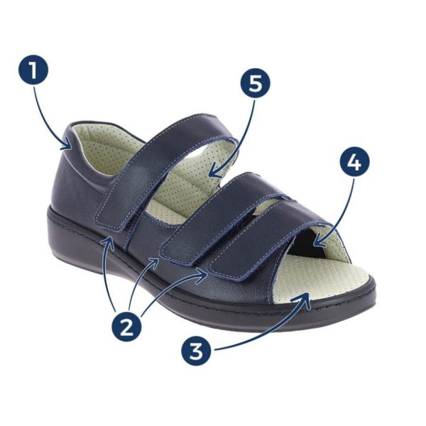 Hectorclaus.shopb6075d6a6a 2